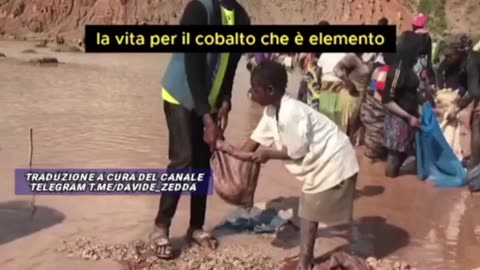 Neil Oliver sulla "bufala del clima": "È un'enorme truffa, e non è guidata da nulla di verde"