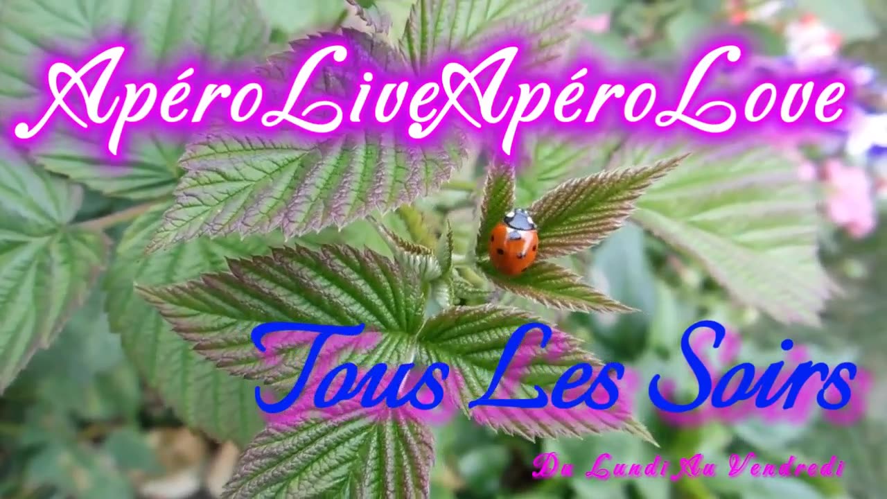 ApéroLiveLove avec Vous les Zzz'Amis 03/09 Les Zzz'Infos Bonheur de Leelou