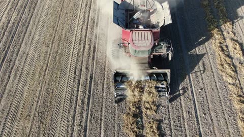 Long in front of combine