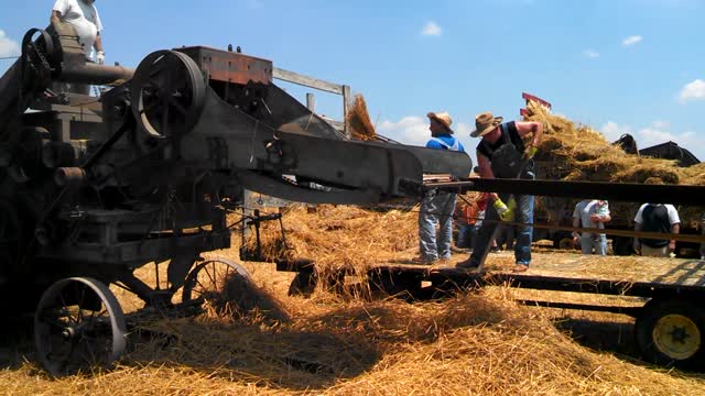 5 Point Steam Threshers Reunion - Threshing Machine