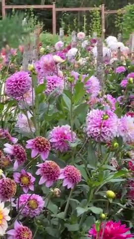 OUR QUIET COMMUNICATION - DAILY DEVOTIONAL ❤️