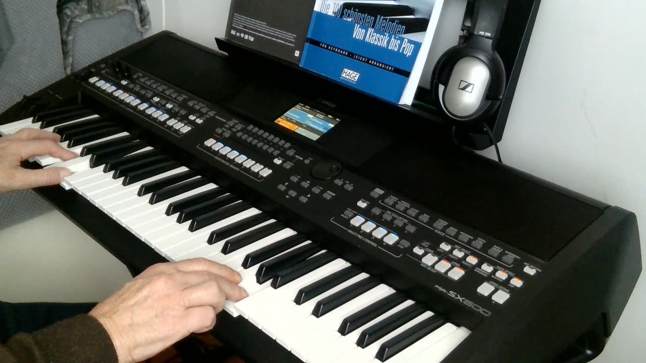 El Andaluz (Franz Lambert) cover by Henry, Yamaha PSR-SX600