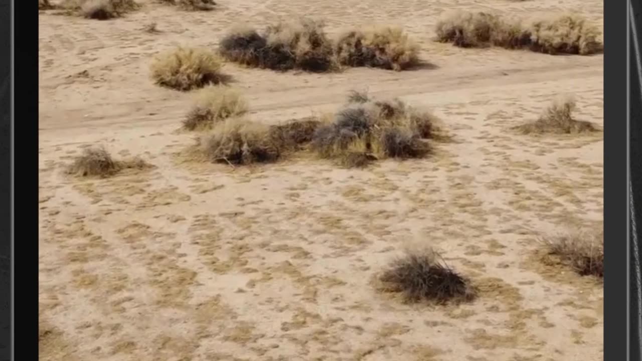 La gran oportunidad de invertir en este terreno: ¡Empieza a construir tu futuro ahora mismo!