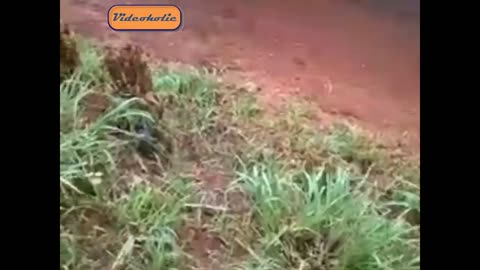 IDIOTS AT WORK FOREVER