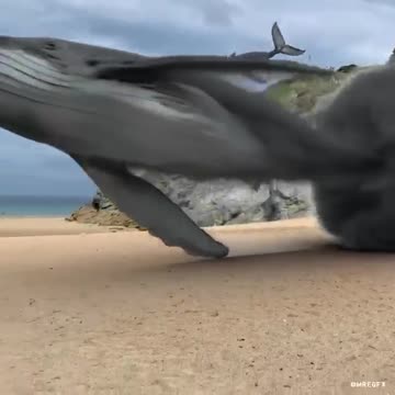 Blue Beam Project.. Hologram Technology