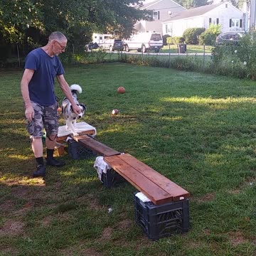 Ruff Cut PodCast: Raised Platform and Balance Beam part 4 Up Next cut 6