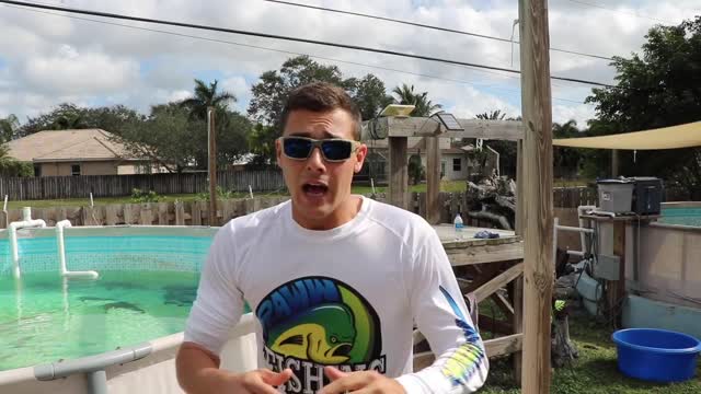 Lamborghini Catches Huge Colorful Fish For Pond Monster!!