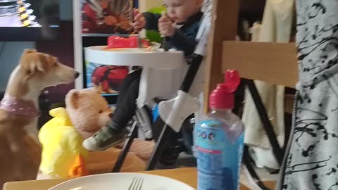 Feeding time