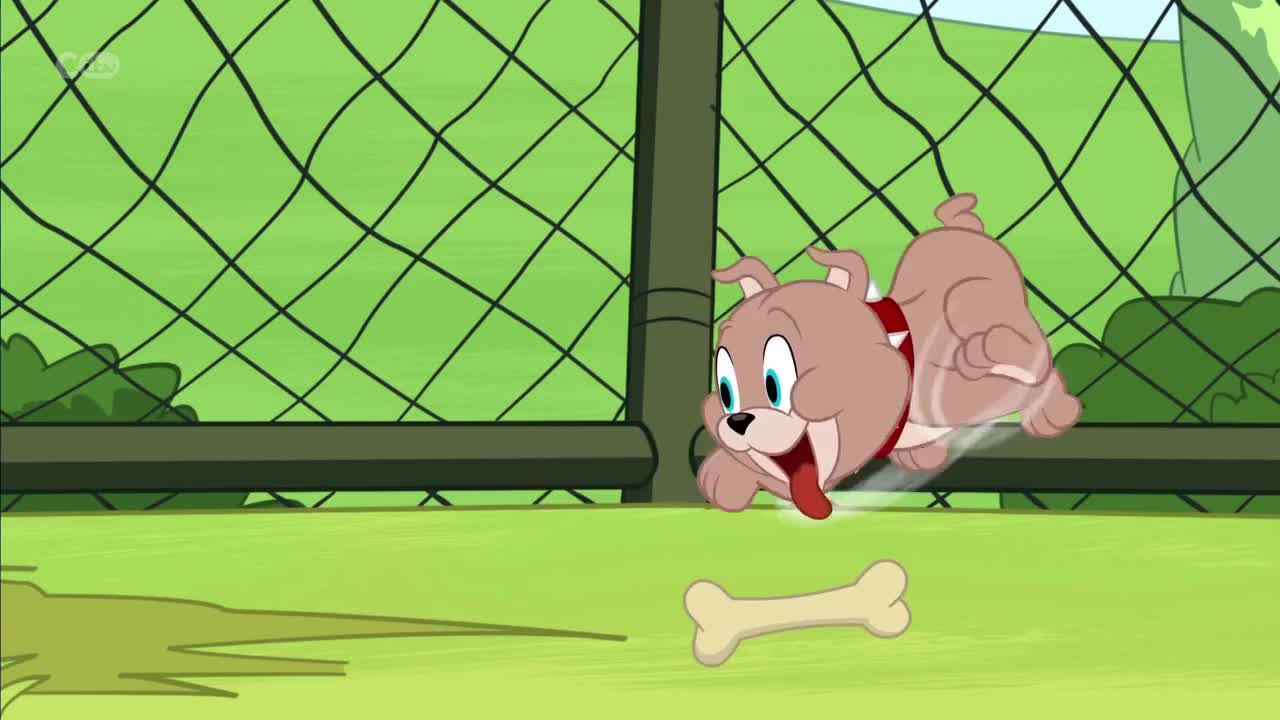 The Tom And Jerry Show - Not My Tyke