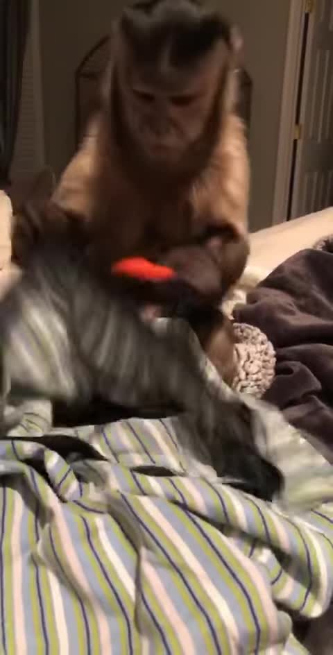 So I was mopping the floor last night and dad had Gaitlyn in the bed with him so I could mop and no