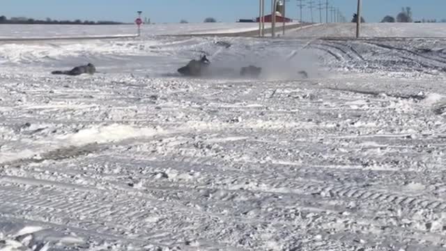 Black snow mobile front flip fail