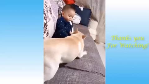 Cute cats and dogs OMG