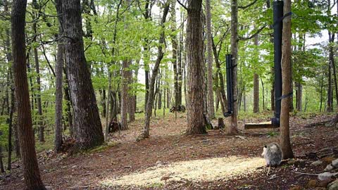 The Woods - 04/26/2021