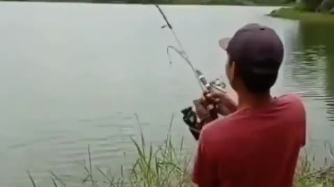 This is a beautiful and charming water-dwelling species