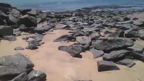 Gravando as pedras na areia da praia, e o mar calmo ao fundo [Nature & Animals]