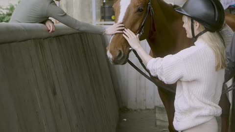 Cute girl with horse