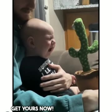 Wholesome Baby-Cactus Encounter: Adorable Interaction 🌵👶💃