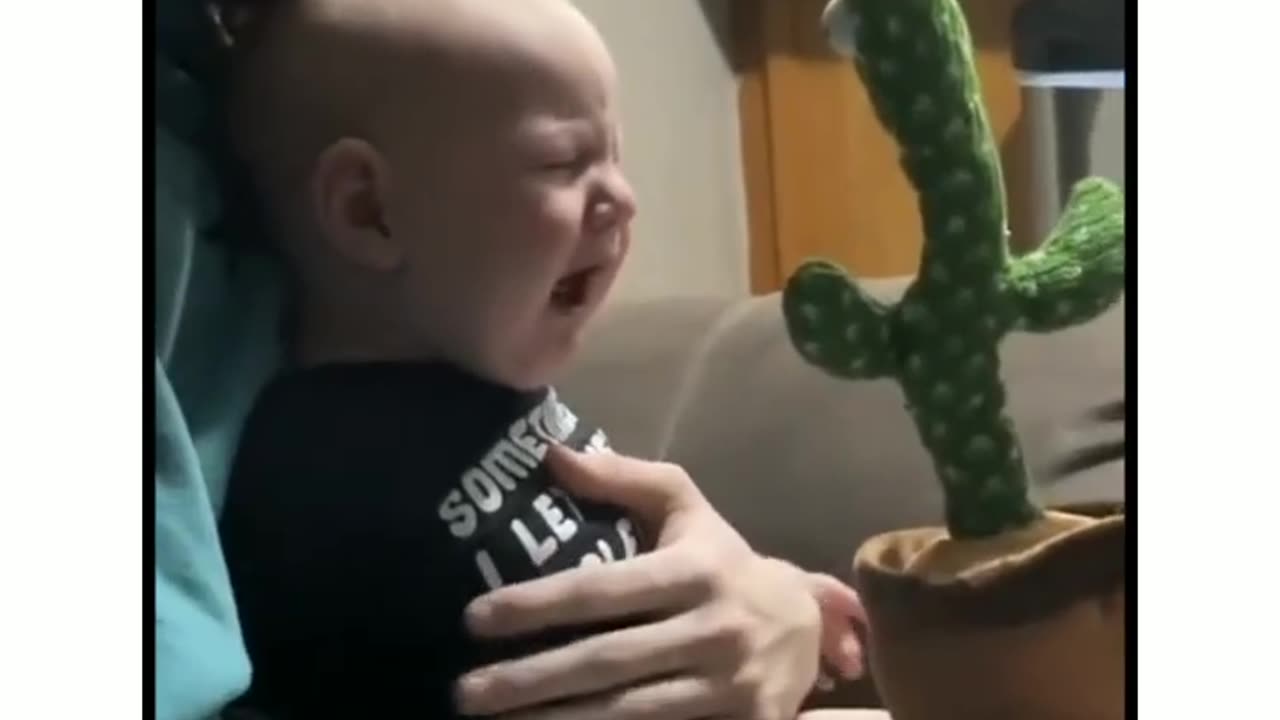 Wholesome Baby-Cactus Encounter: Adorable Interaction 🌵👶💃