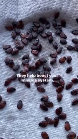 Wellness - Watermelon Seeds