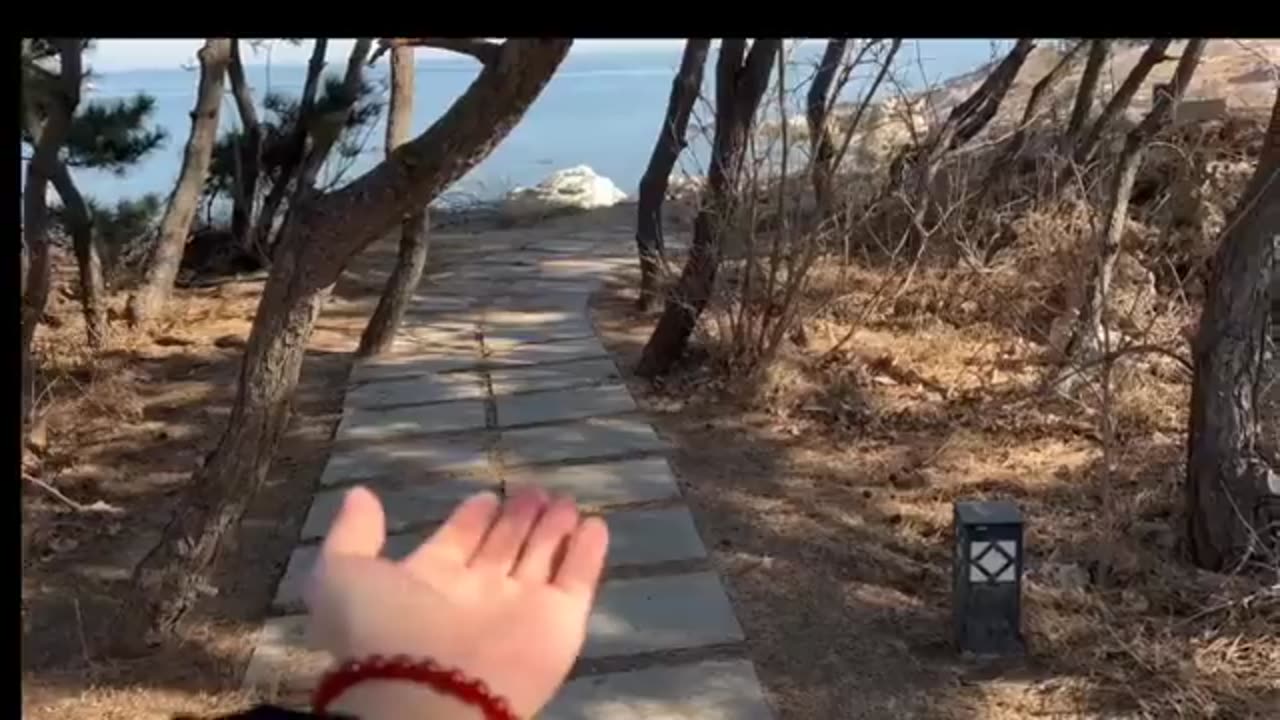 Funny moments