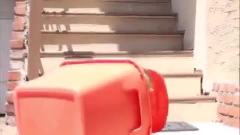 Action movie
