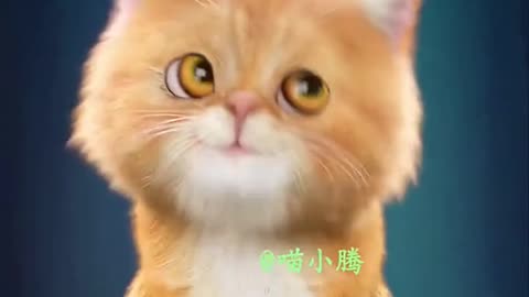 Pet #CutePet #Cat #cuteanimals