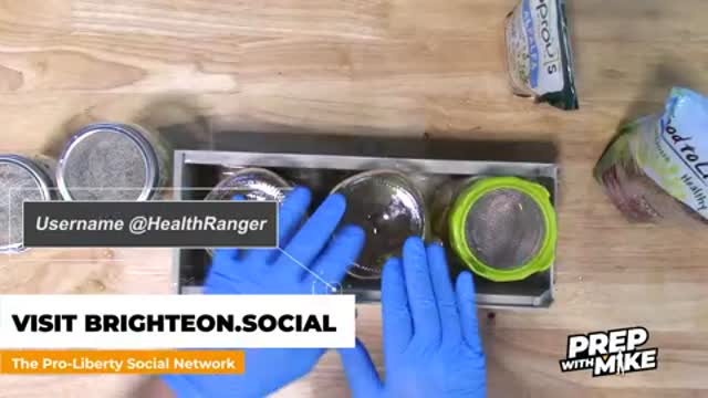 Mike Adams on how to grow your own sprouts for essentially zero dollars