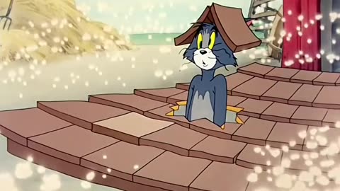 Tom and Jerry funny video