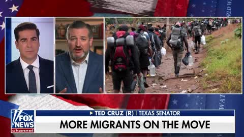Ted Cruz on the Border CRISIS