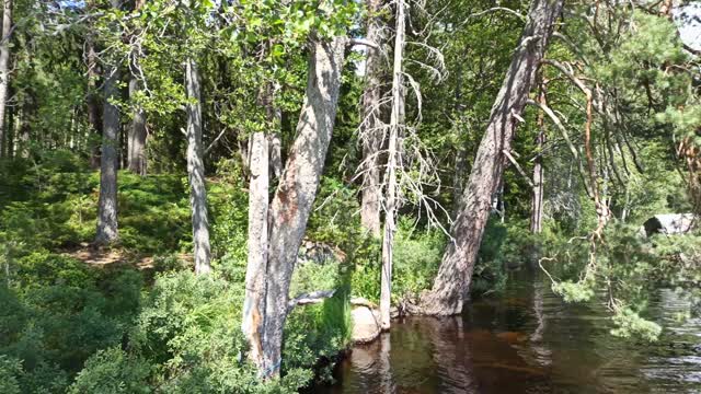 Fuxboudden naturreservat vid Våtsjön 9 Juli 2022