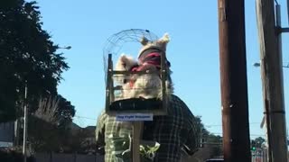 Two small dogs ride in basket cage on the back of bike