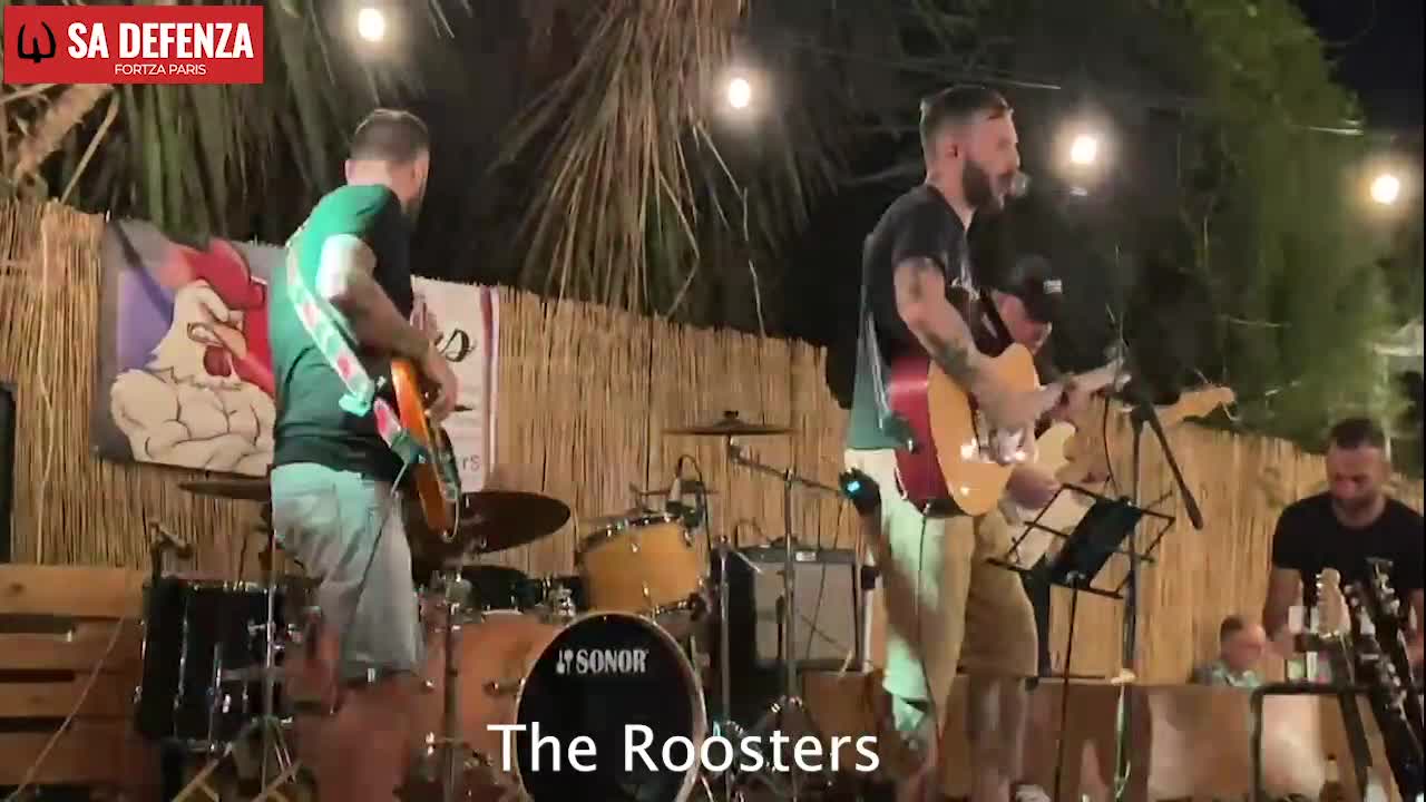 roosters