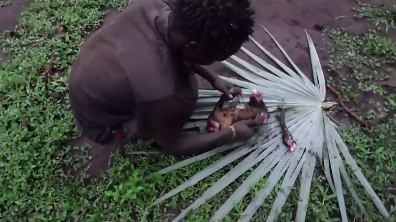 HADZABE HUNTERS ROASTING A MONKEY IN THE BUSH AND EAT IT