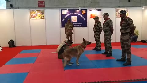 CISF DOG Training