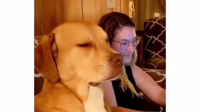 This dog is so sleepy