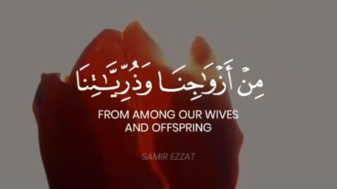 Daily Quran..