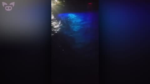 Freaky Sightings Caught on Camera That'll Mess You Up
