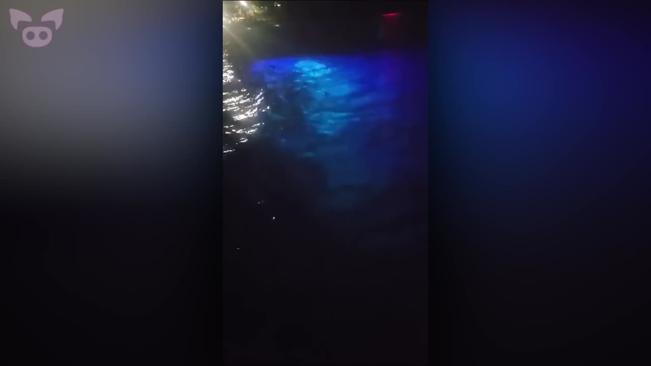 Freaky Sightings Caught on Camera That'll Mess You Up