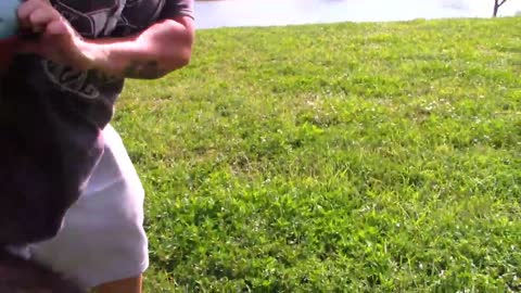 Guard Dog Training And Useful Tips To Help You Have A Obedient Dog