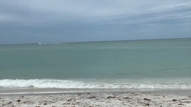 Enjoying the boats go by on the beach