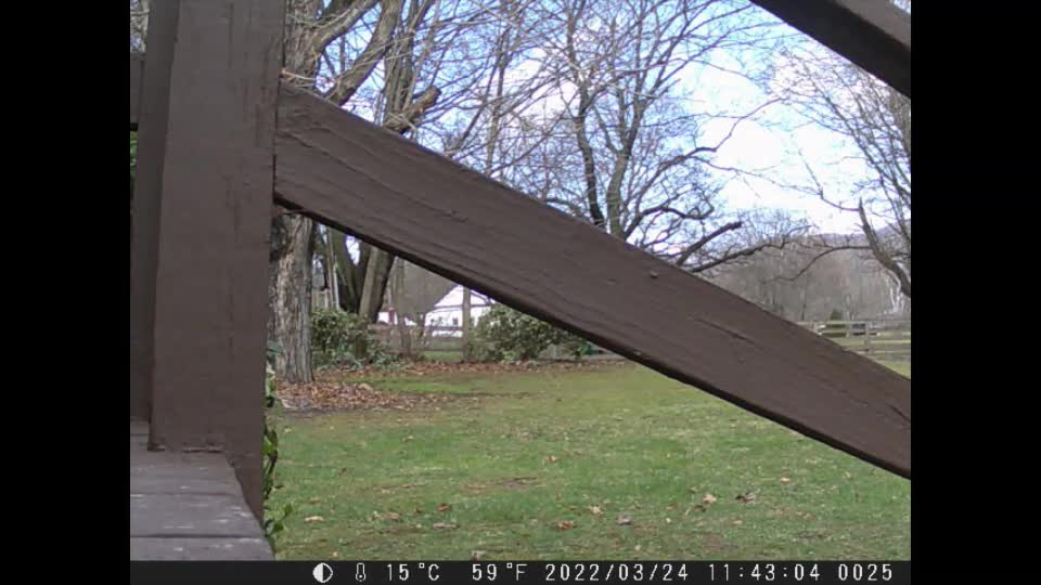 Country Traffic Cam 3 24 22