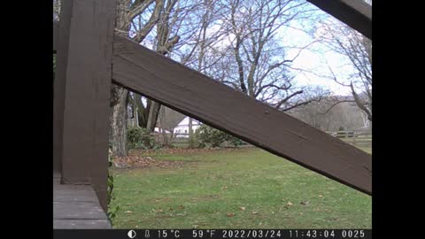 Country Traffic Cam 3 24 22