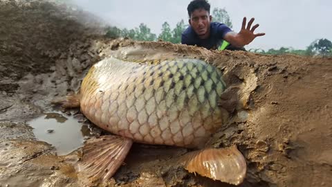 Wow Really Smart Hand Fishing In River Dry Place Underground