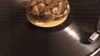 Record Player Python