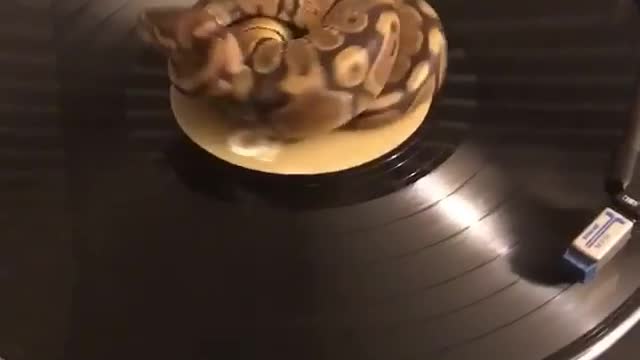 Record Player Python
