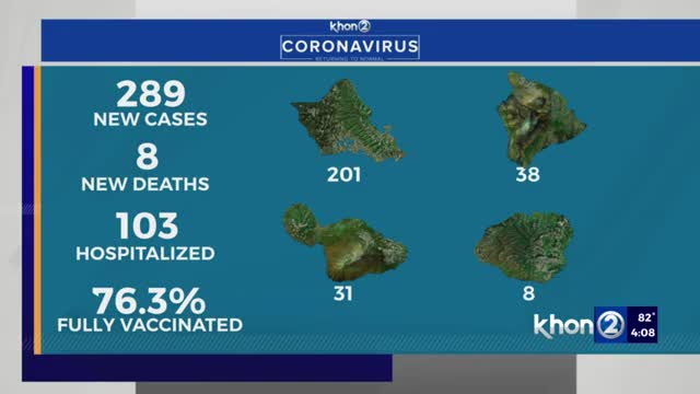 Hawaii reports 289 COVID cases, 8 new deaths