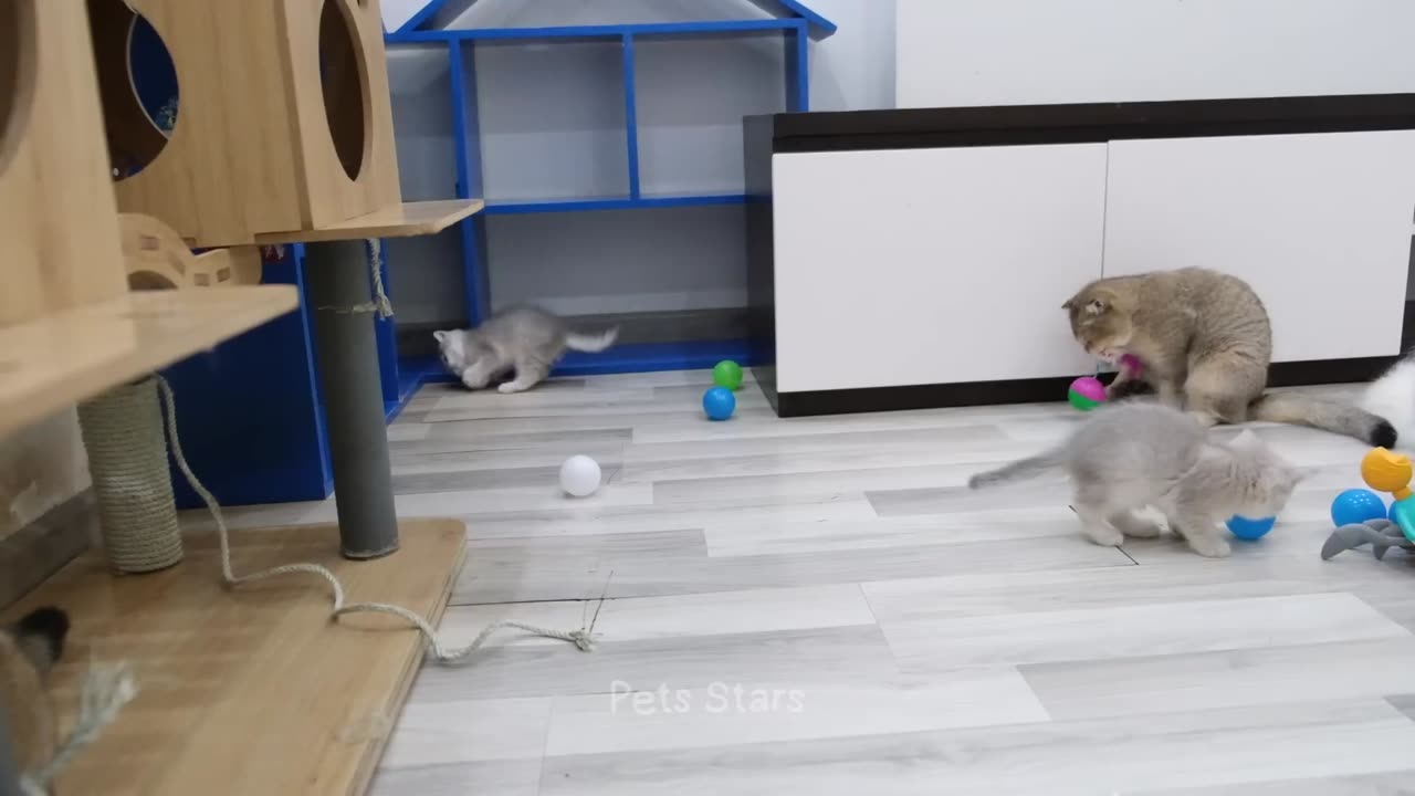 Funniest Animals 2023 π€©π Best Cats and Dogs Videos πΆπ» Part 15
