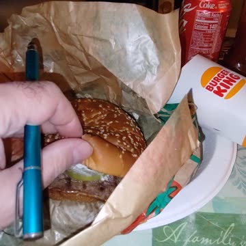 Meal, Burger King, Ford Rd, Garden City, MI, 11/12/23