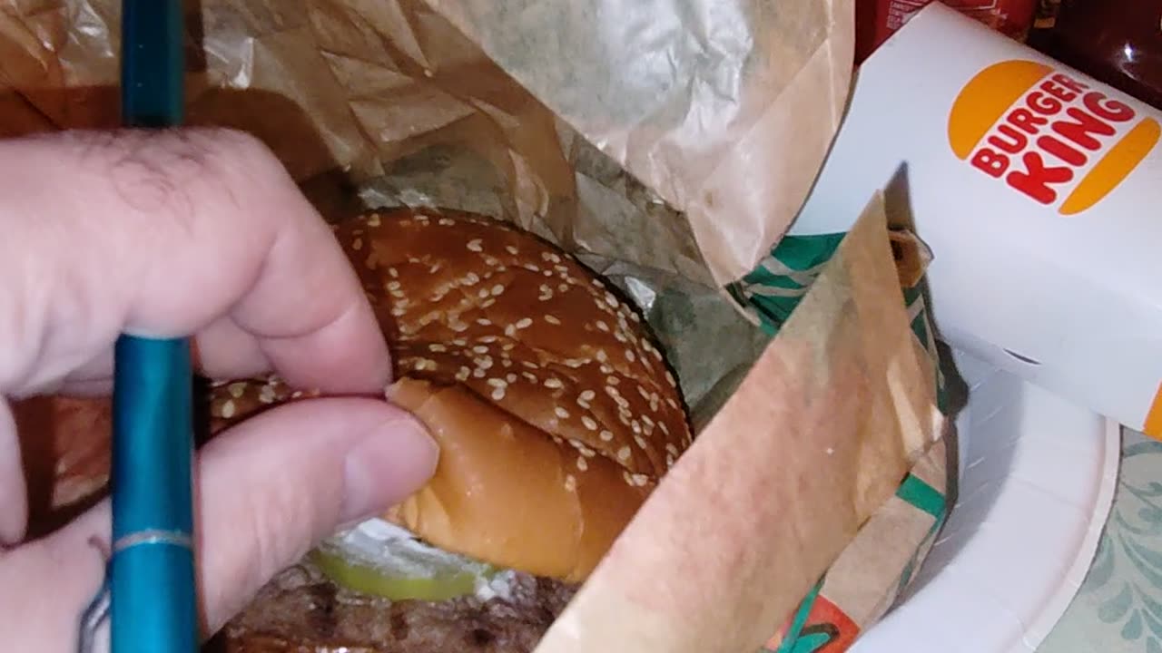 Meal, Burger King, Ford Rd, Garden City, MI, 11/12/23