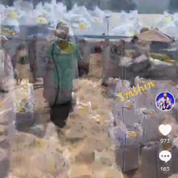 Palestinians profit from fraudulent donation appeals